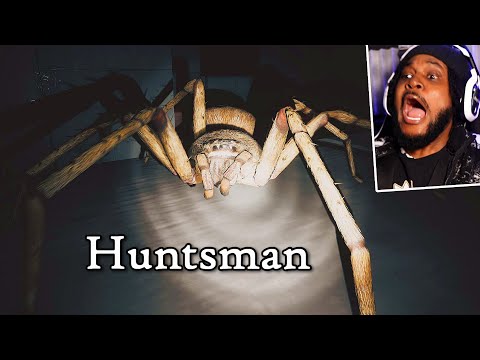 MY 2ND DEEPEST FEAR.. There's a GIANT Spider [Huntsman] img